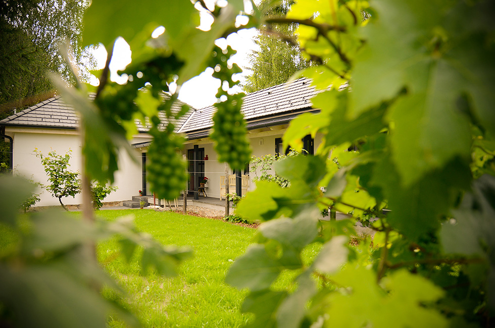 The community room garden