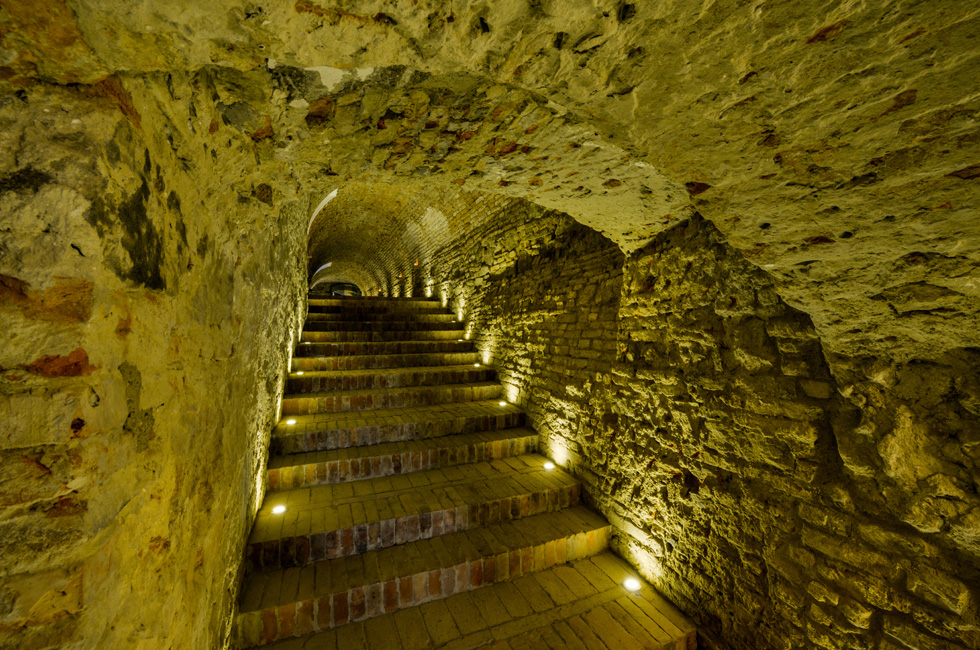 wine_cellar_3